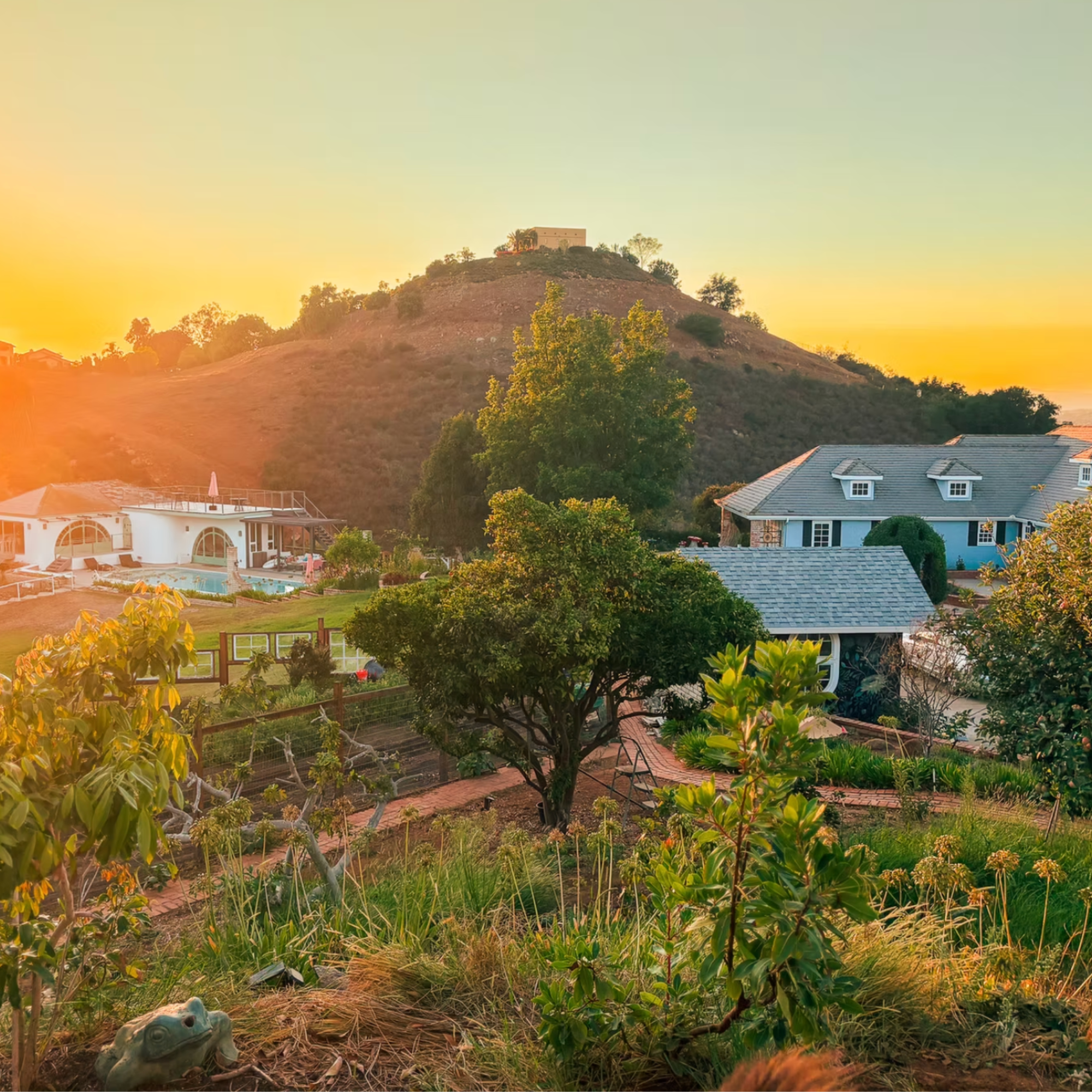 ish: Galentine's On the Farm - A Women's Movement + Brunch